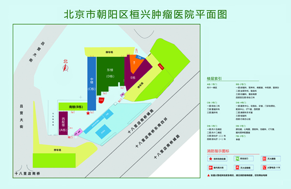 护士被我插舒服用力爽北京市朝阳区桓兴肿瘤医院平面图